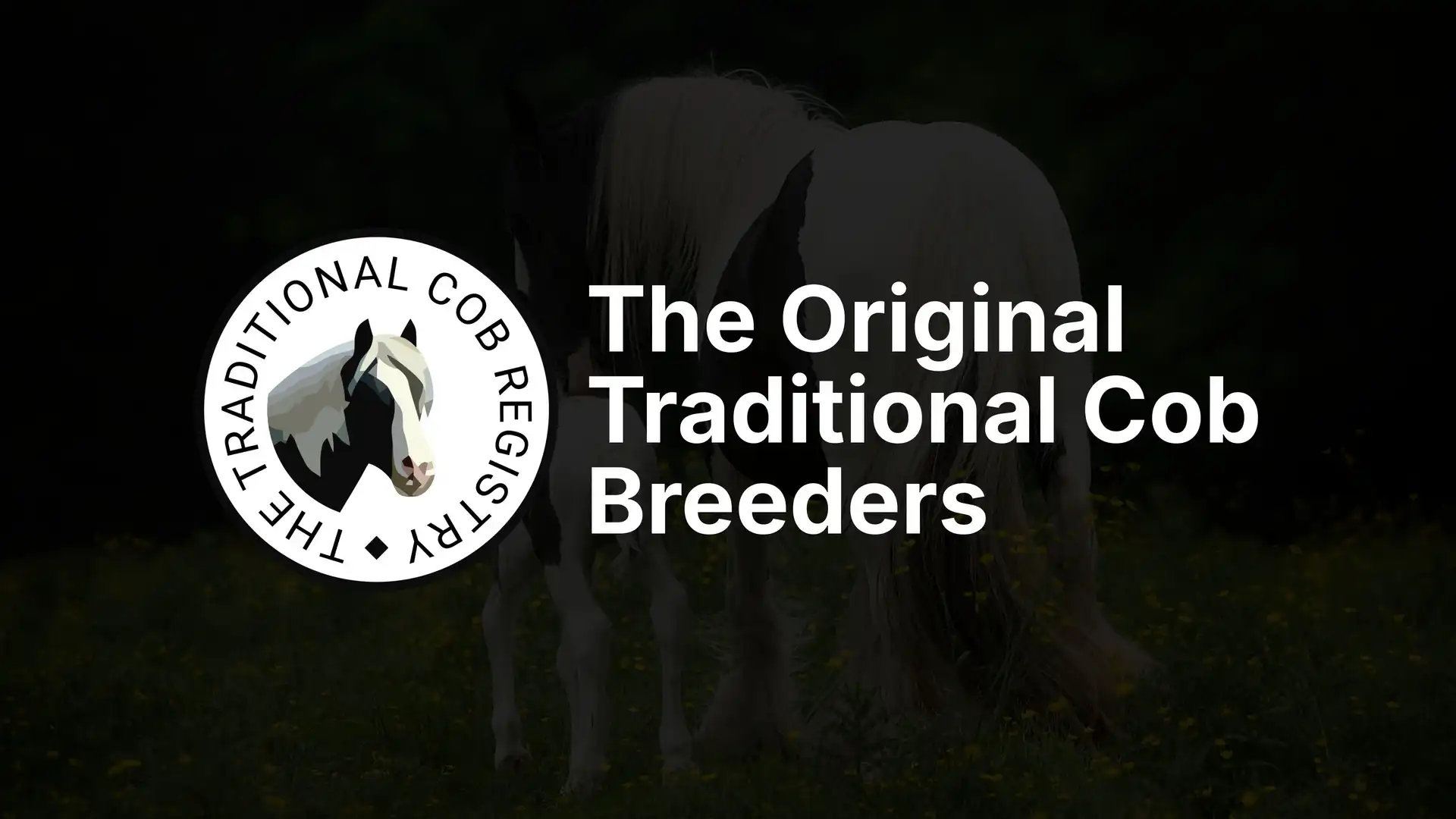 The Original Traditional Cob Breeders - Media (1588)