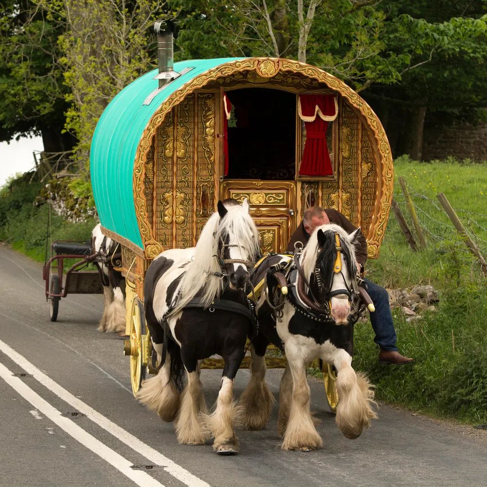 Gypsy Cob Caravan